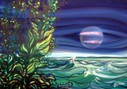 Luna velata