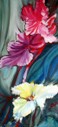 Orchidee